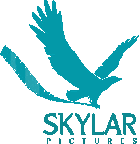 skylarblue logo